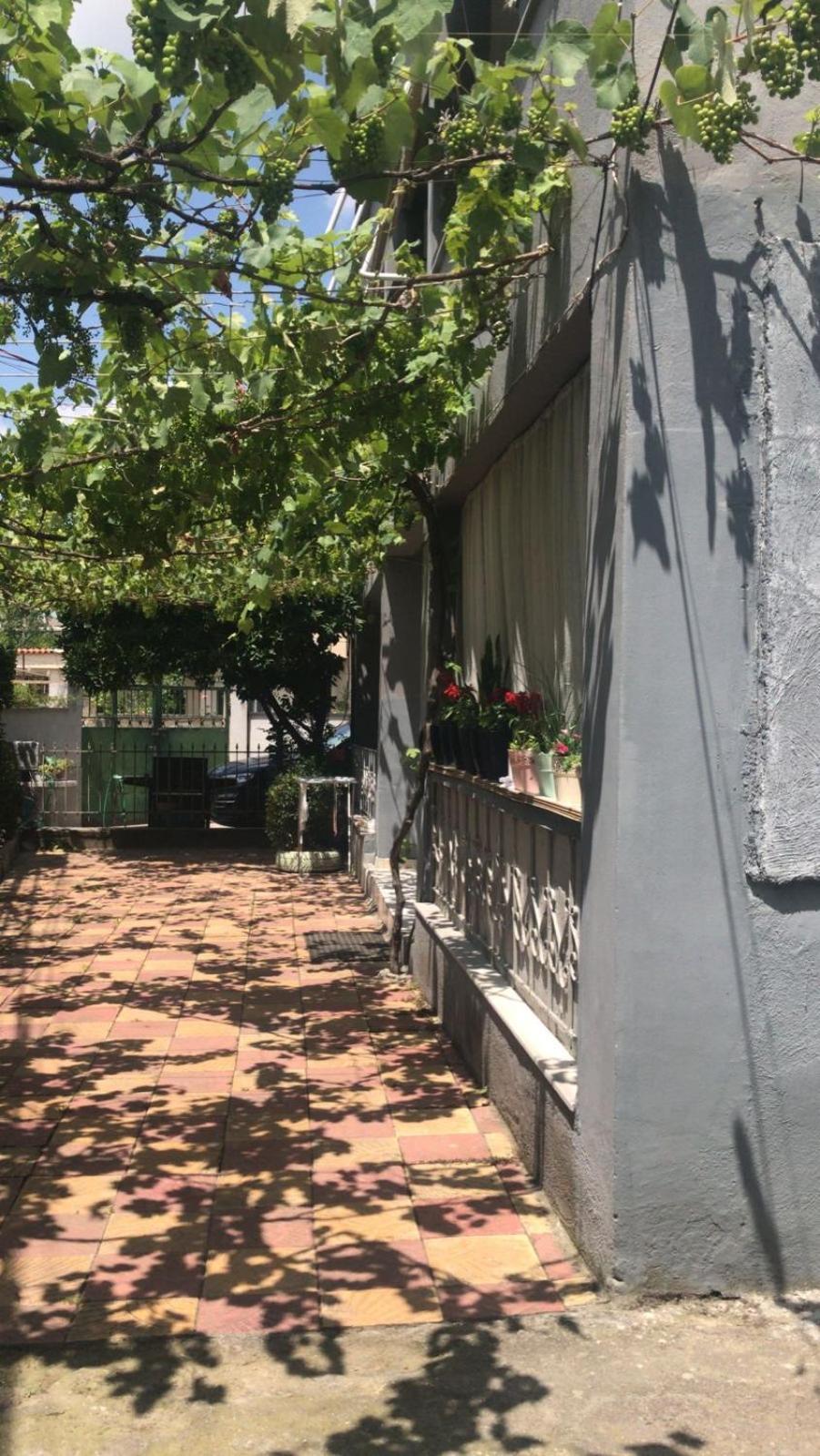 Green Door House טיראנה מראה חיצוני תמונה